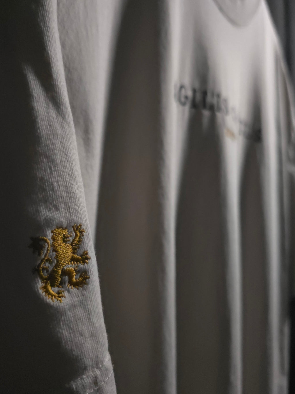 Close-up of a bone fabric with an embroidered lion emblem on a dark background