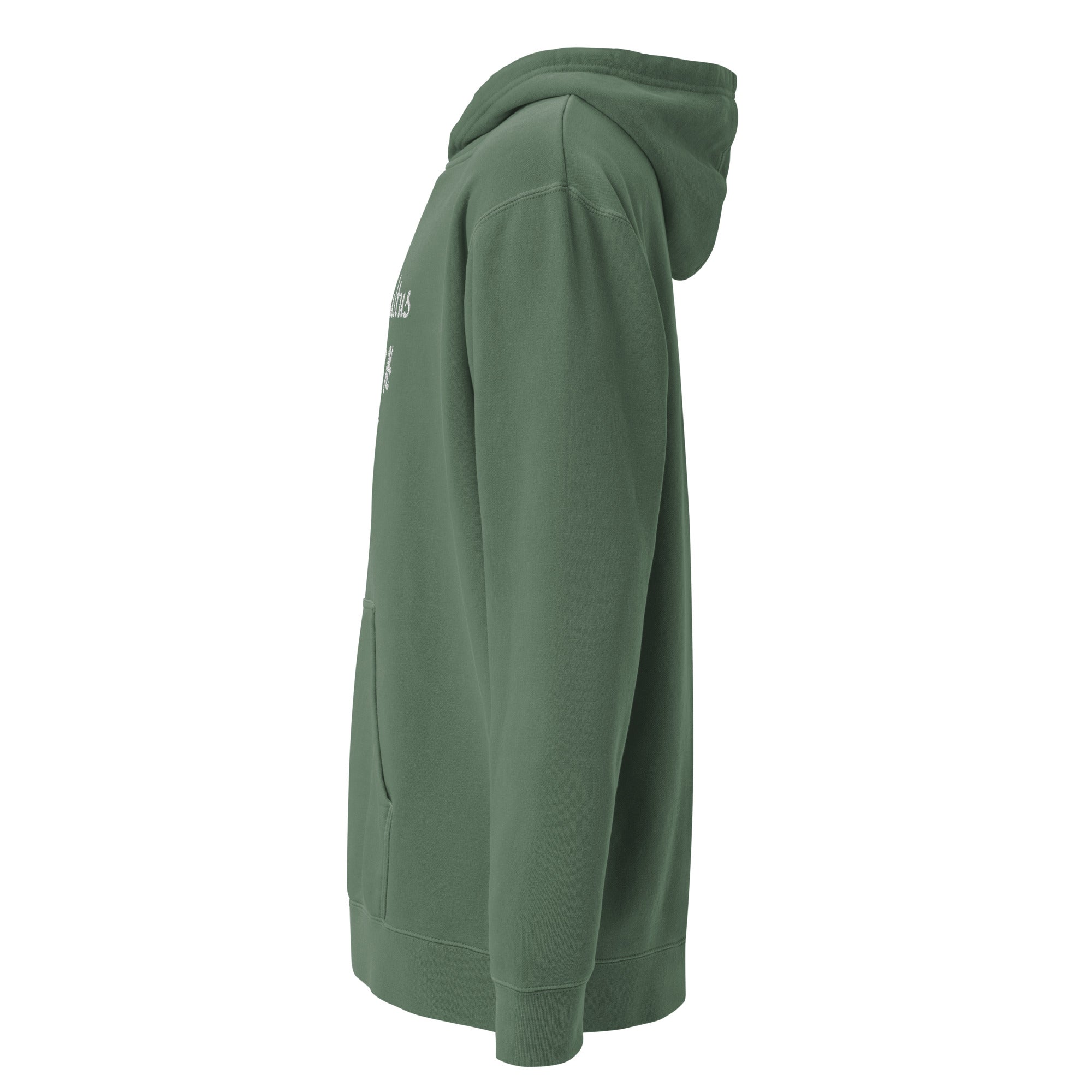 AC Agilis Cultus alpine green pigment dyed hoodie with large chest embroidery left side view